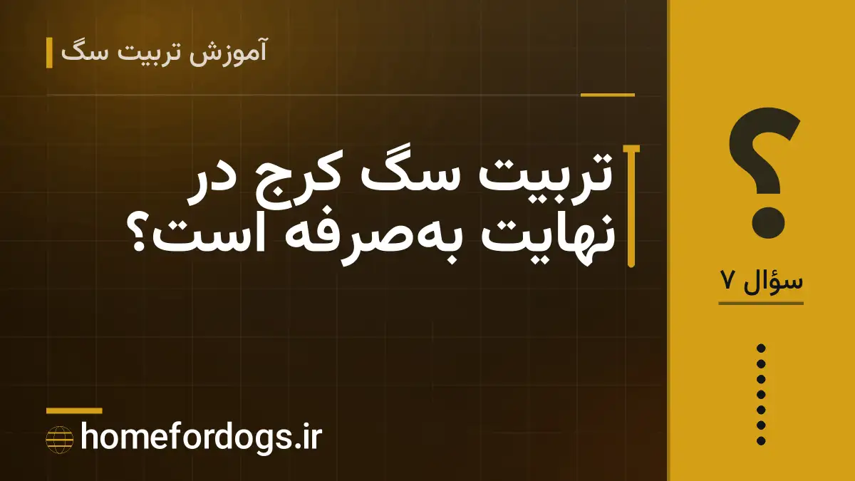 تربیت سگ کرج در نهایت به‌صرفه است؟