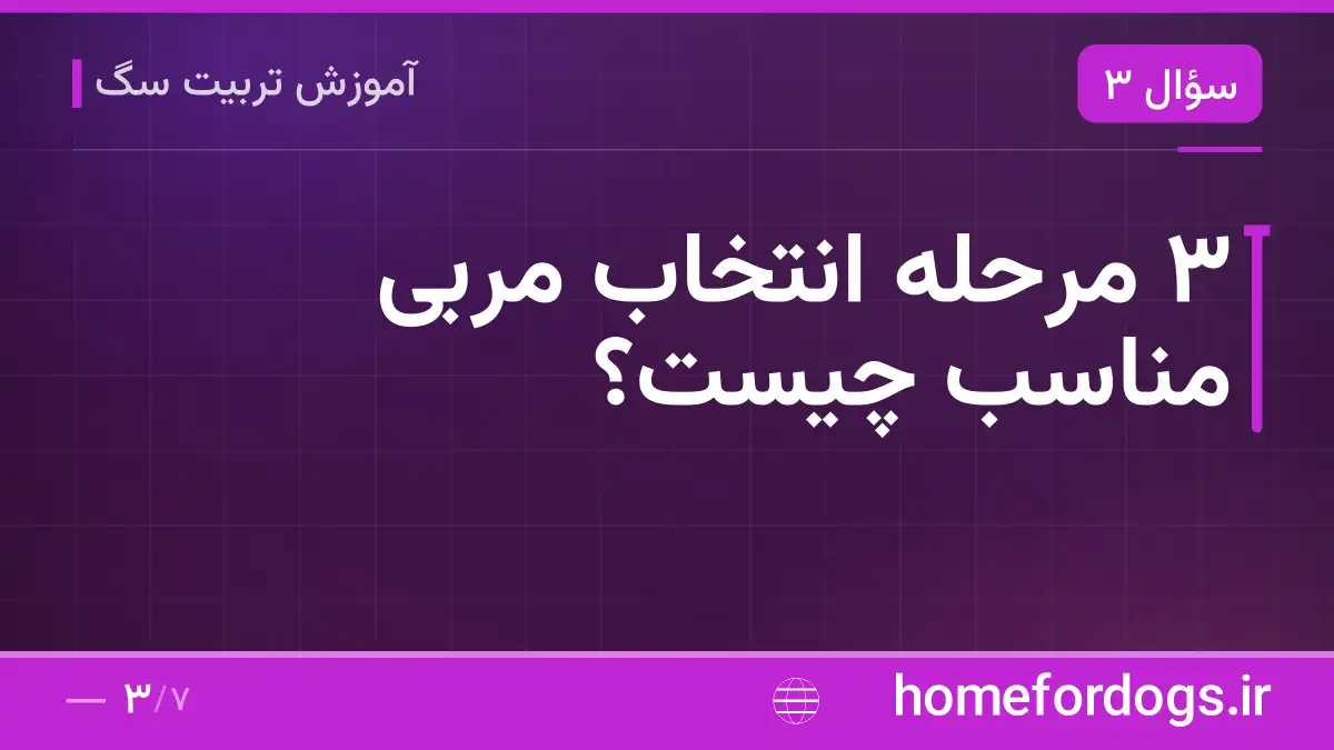 ۳ مرحله انتخاب مربی مناسب چیست؟