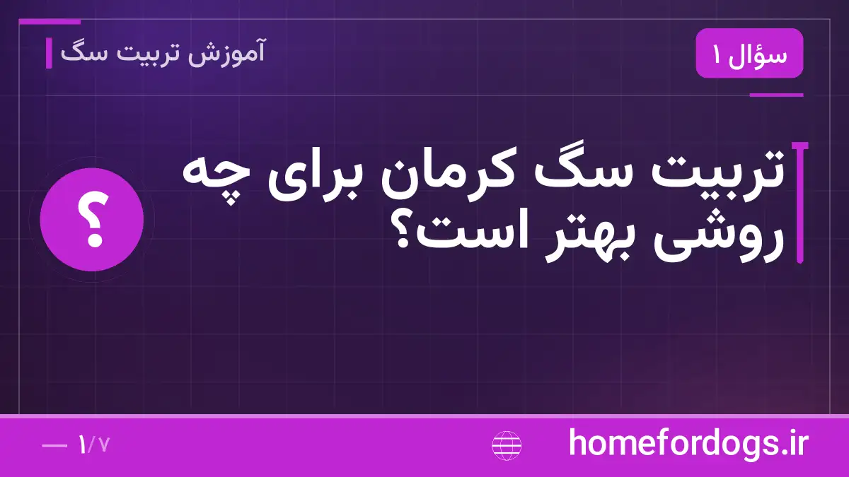 تربیت سگ کرمان برای چه روشی بهتر است؟