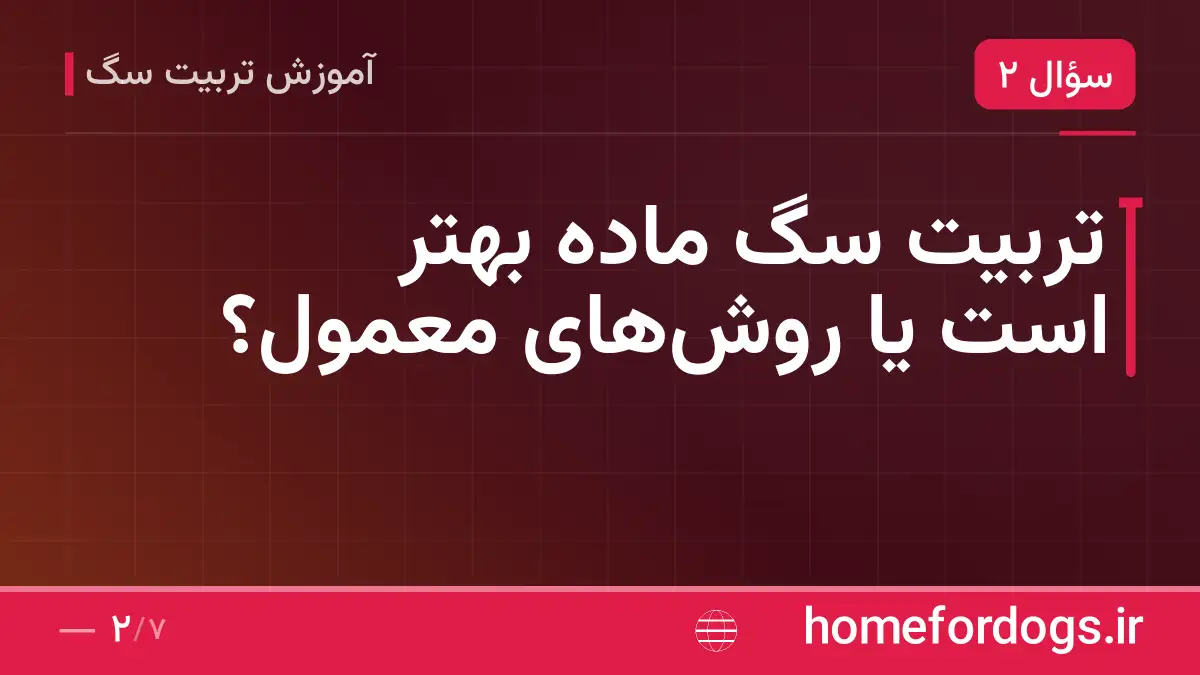 تربیت سگ ماده بهتر است یا روش‌های معمول؟