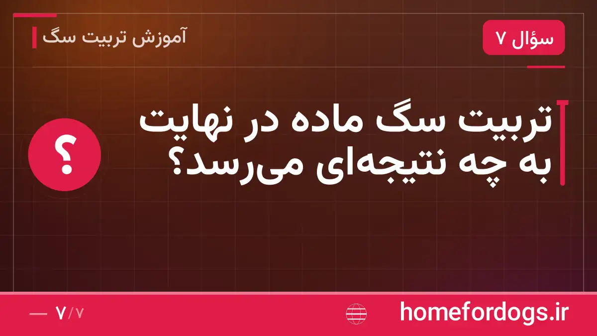 تربیت سگ ماده در نهایت به چه نتیجه‌ای می‌رسد؟