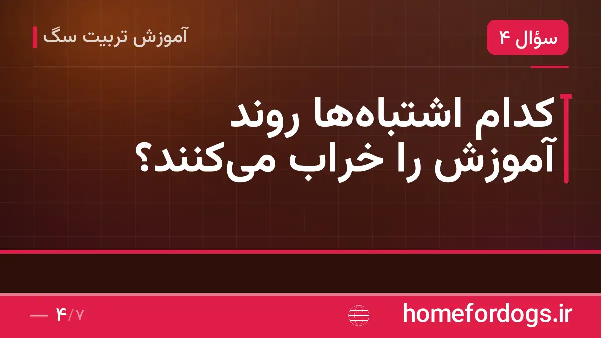 کدام اشتباه‌ها روند آموزش را خراب می‌کنند؟