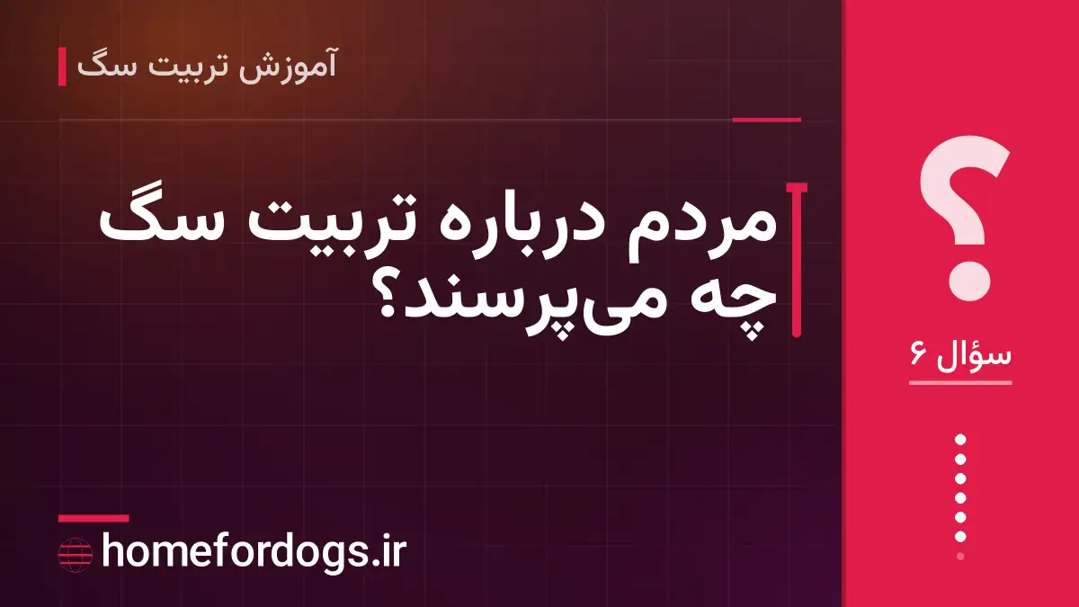 مردم درباره تربیت سگ چه می‌پرسند؟