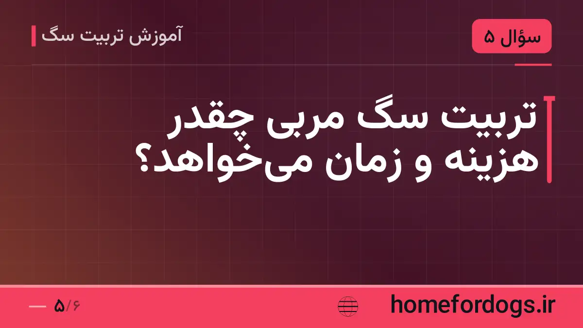 تربیت سگ مربی چقدر هزینه و زمان می‌خواهد؟