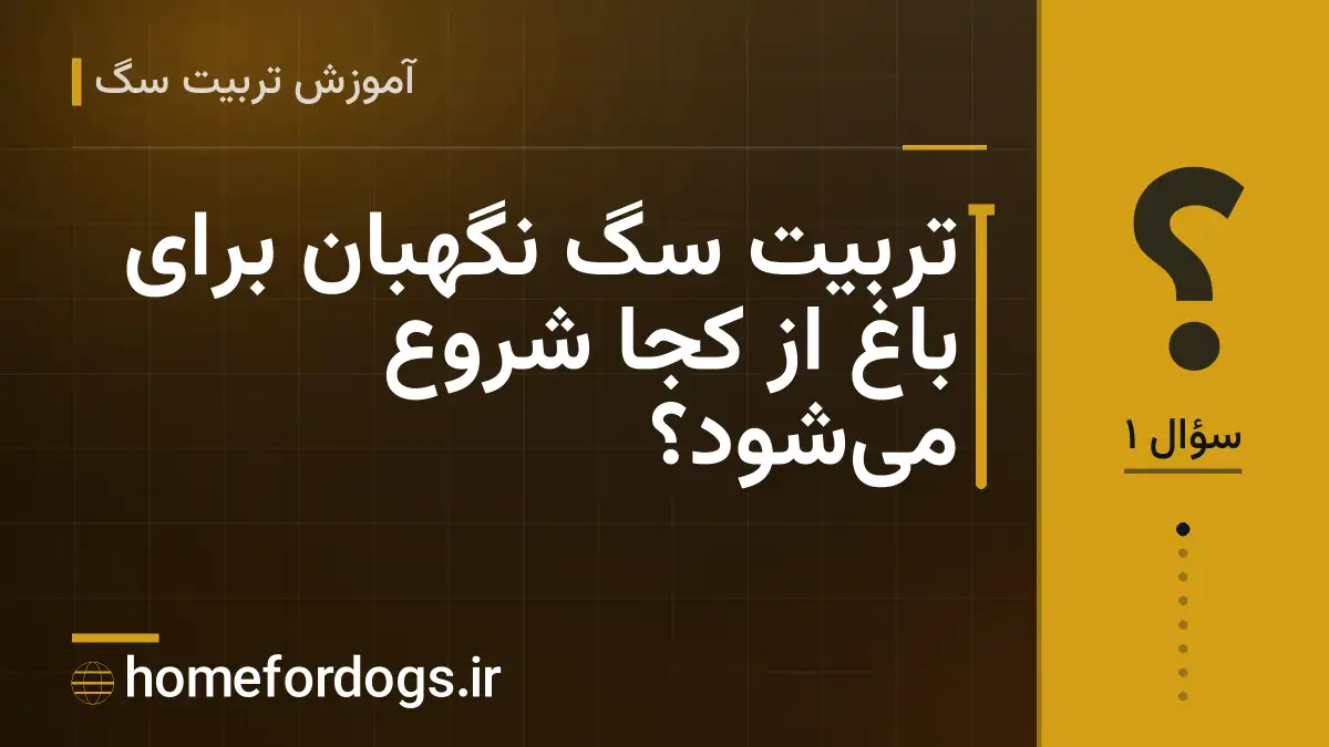 تربیت سگ نگهبان برای باغ از کجا شروع می‌شود؟