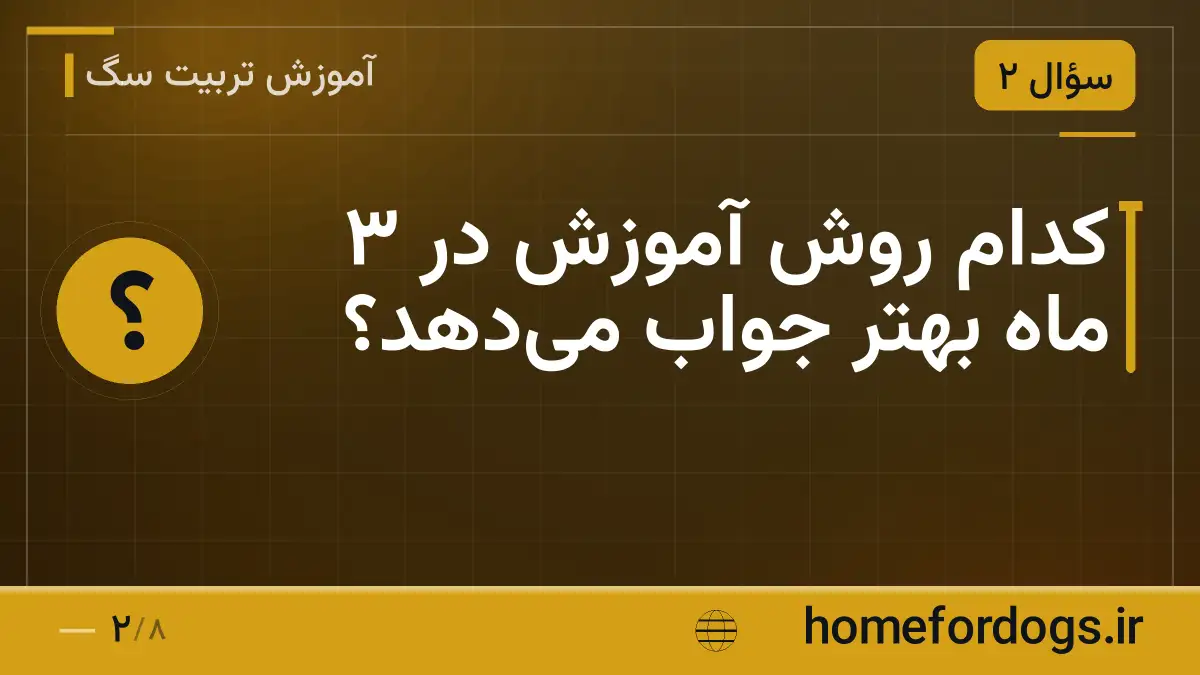کدام روش آموزش در ۳ ماه بهتر جواب می‌دهد؟