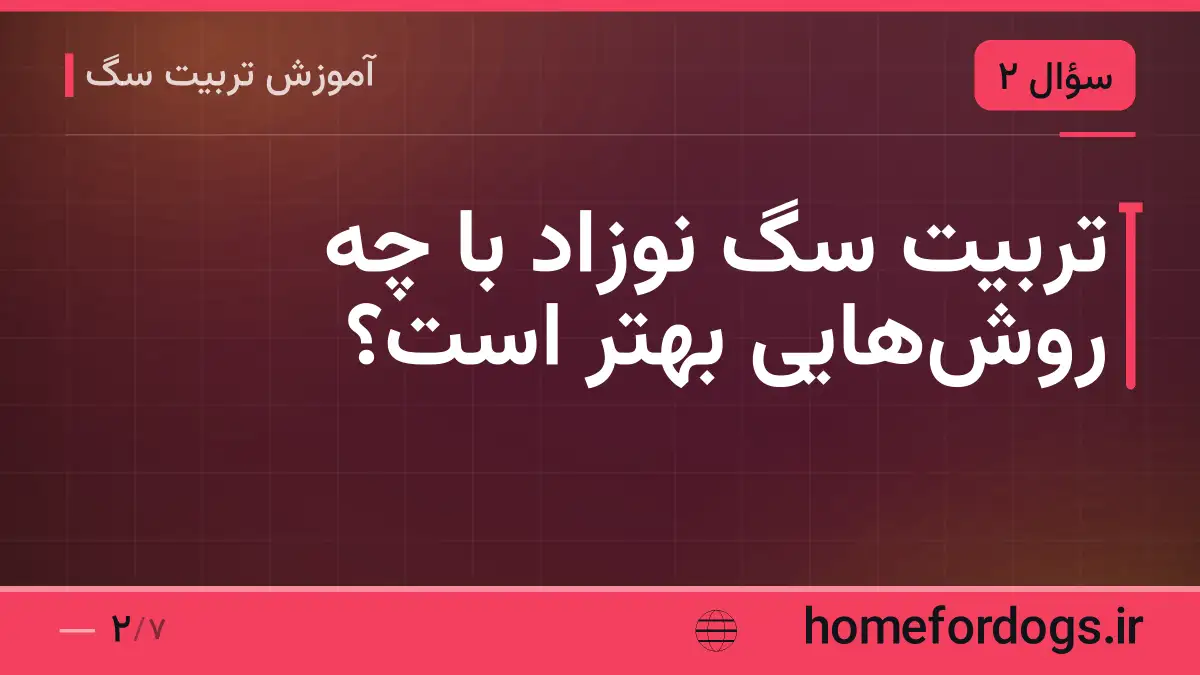تربیت سگ نوزاد با چه روش‌هایی بهتر است؟