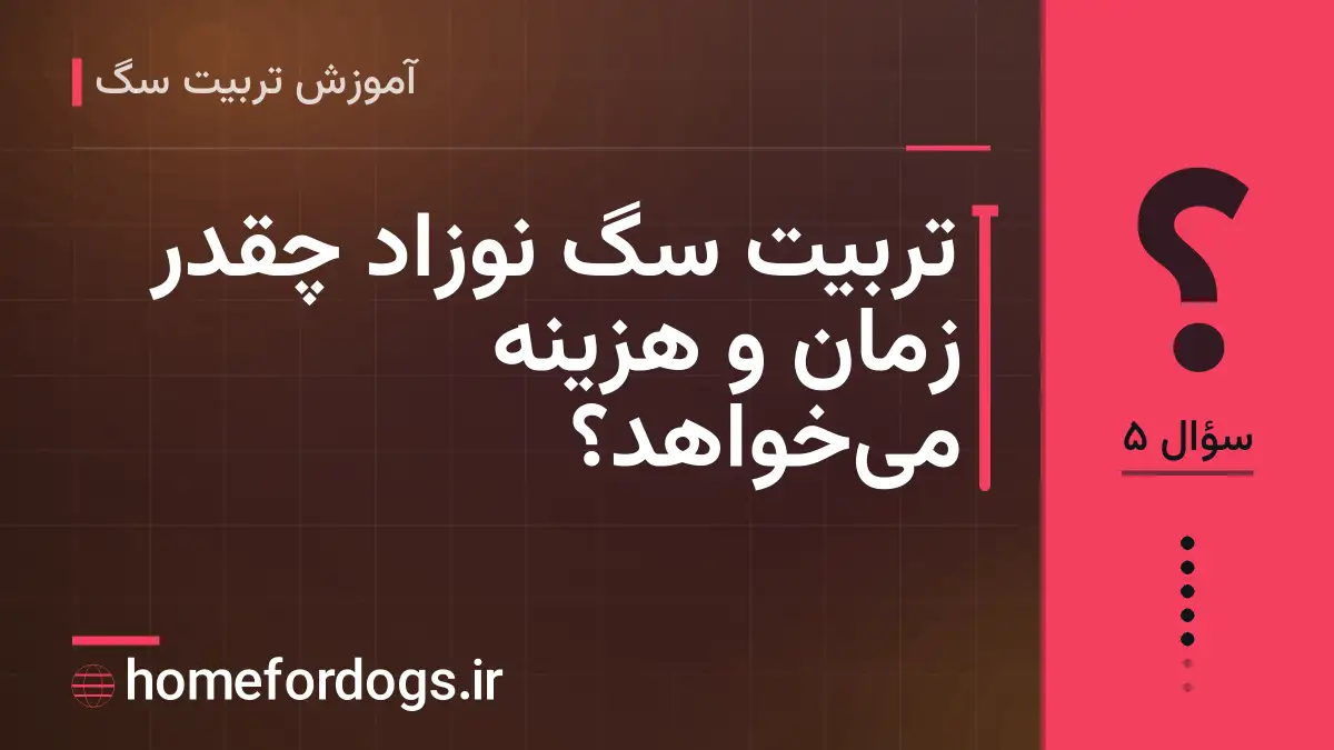 تربیت سگ نوزاد چقدر زمان و هزینه می‌خواهد؟