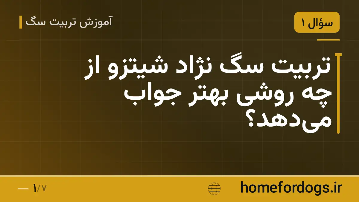 تربیت سگ نژاد شیتزو از چه روشی بهتر جواب می‌دهد؟