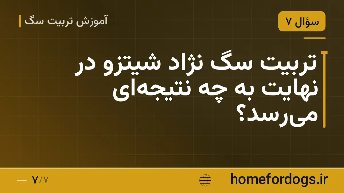 تربیت سگ نژاد شیتزو در نهایت به چه نتیجه‌ای می‌رسد؟