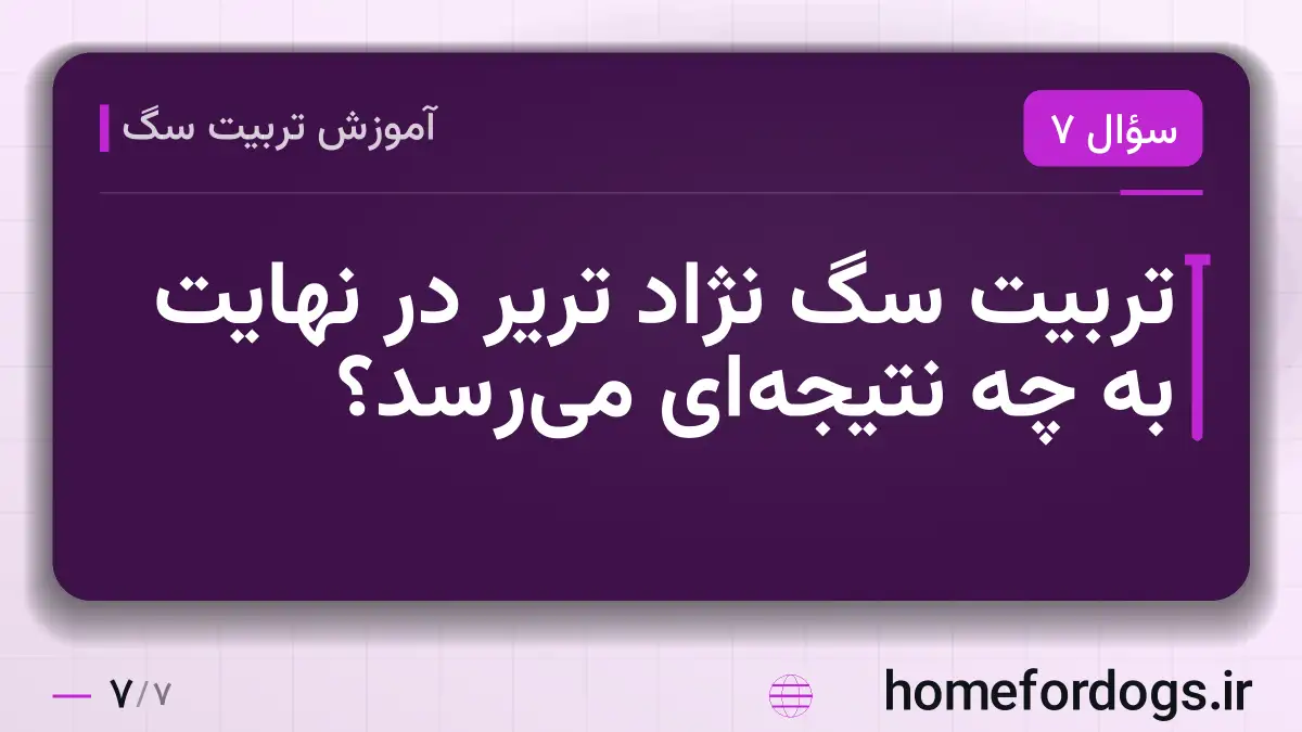 تربیت سگ نژاد تریر در نهایت به چه نتیجه‌ای می‌رسد؟