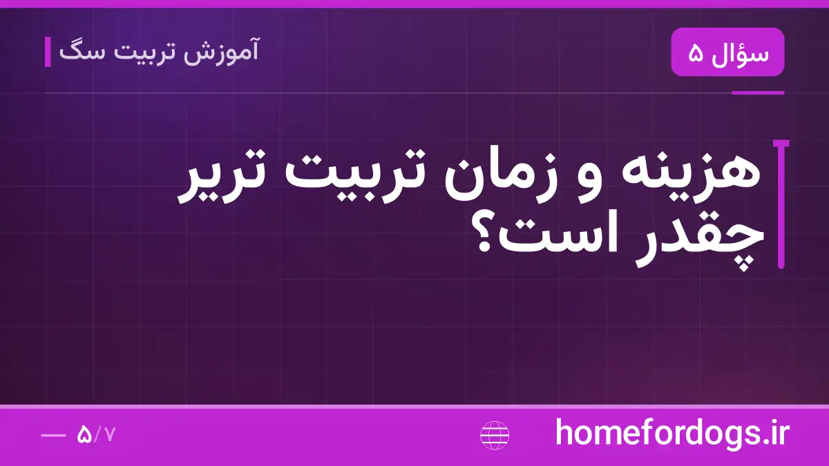هزینه و زمان تربیت تریر چقدر است؟