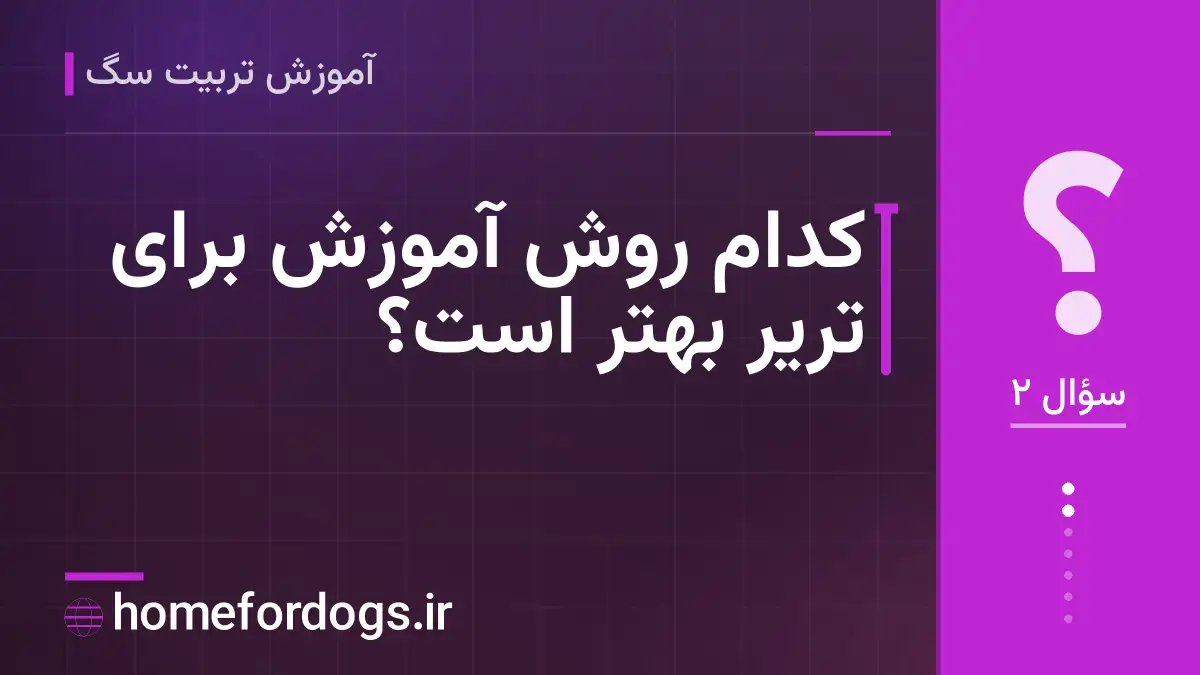 کدام روش آموزش برای تریر بهتر است؟