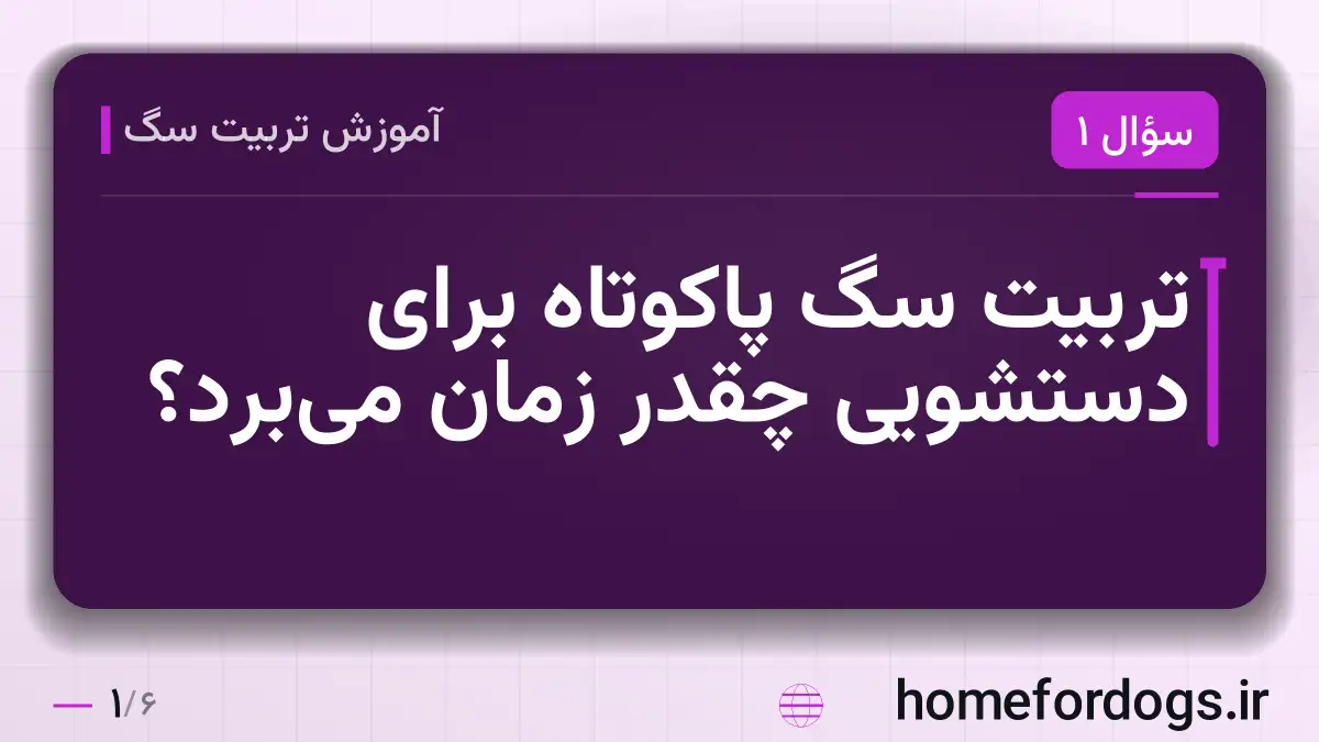 تربیت سگ پاکوتاه برای دستشویی چقدر زمان می‌برد؟