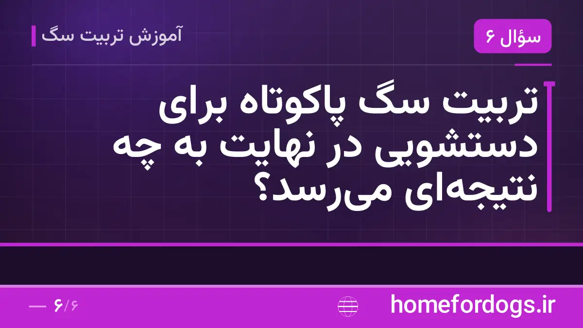 تربیت سگ پاکوتاه برای دستشویی در نهایت به چه نتیجه‌ای می‌رسد؟