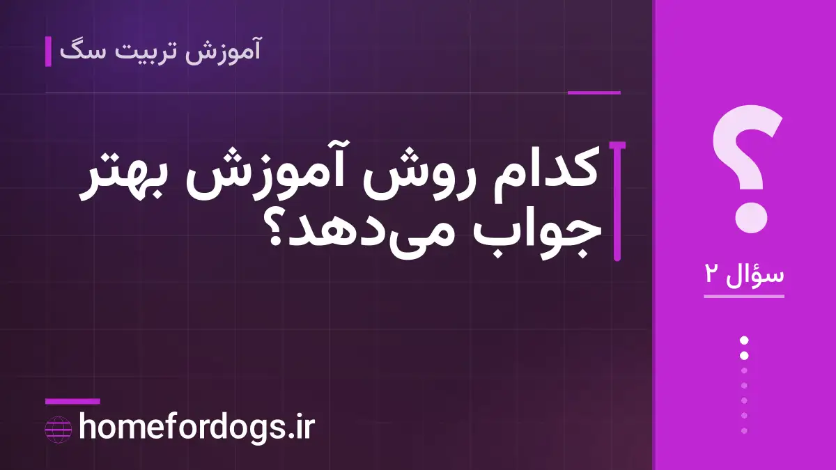 کدام روش آموزش بهتر جواب می‌دهد؟