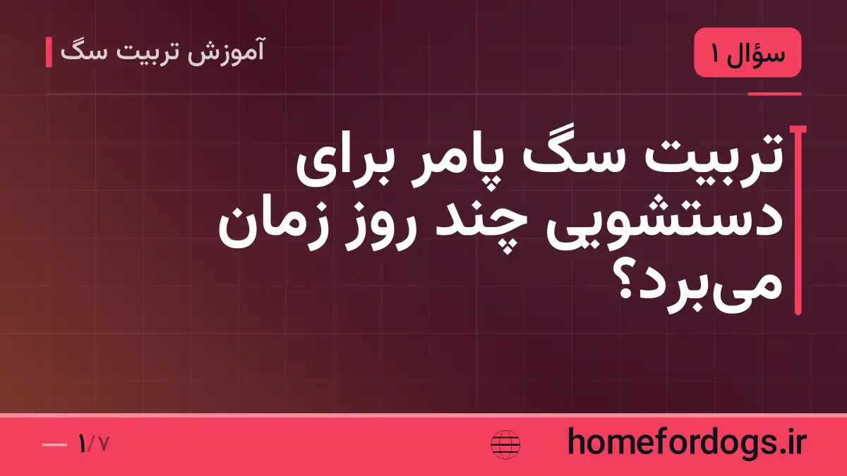تربیت سگ پامر برای دستشویی چند روز زمان می‌برد؟