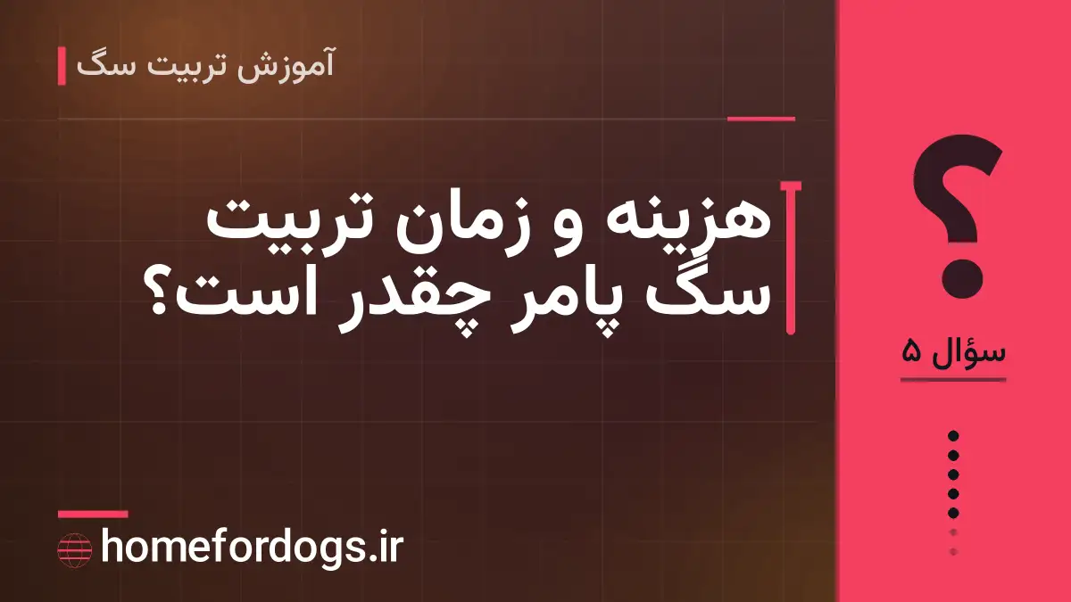 هزینه و زمان تربیت سگ پامر چقدر است؟
