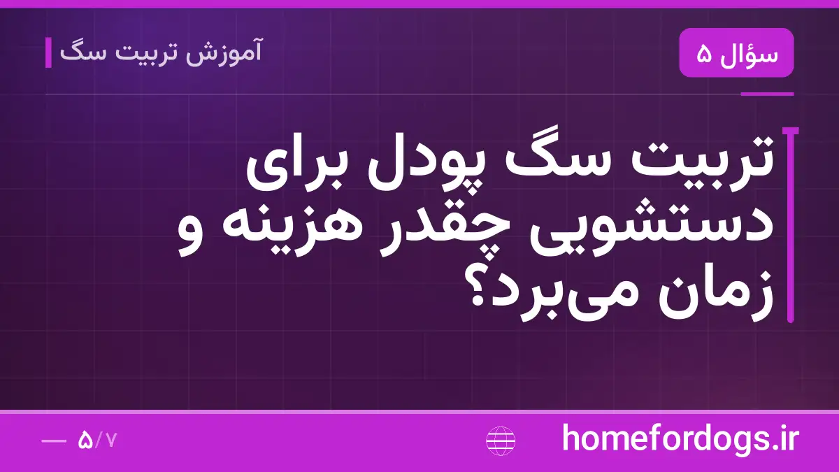 تربیت سگ پودل برای دستشویی چقدر هزینه و زمان می‌برد؟