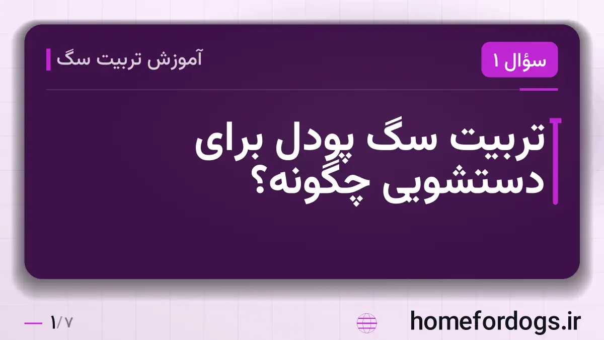 تربیت سگ پودل برای دستشویی چگونه؟