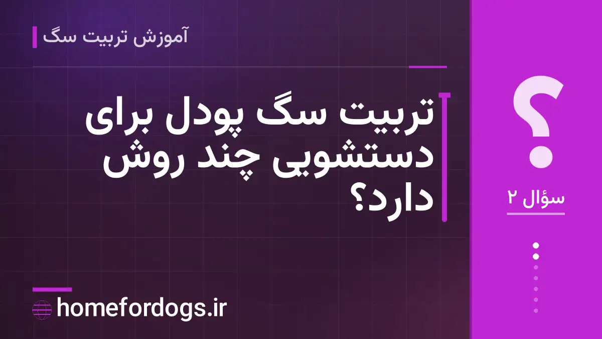 تربیت سگ پودل برای دستشویی چند روش دارد؟