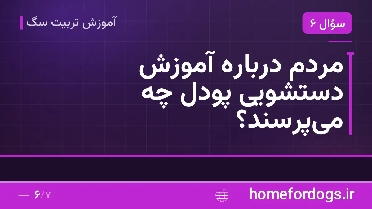 مردم درباره آموزش دستشویی پودل چه می‌پرسند؟