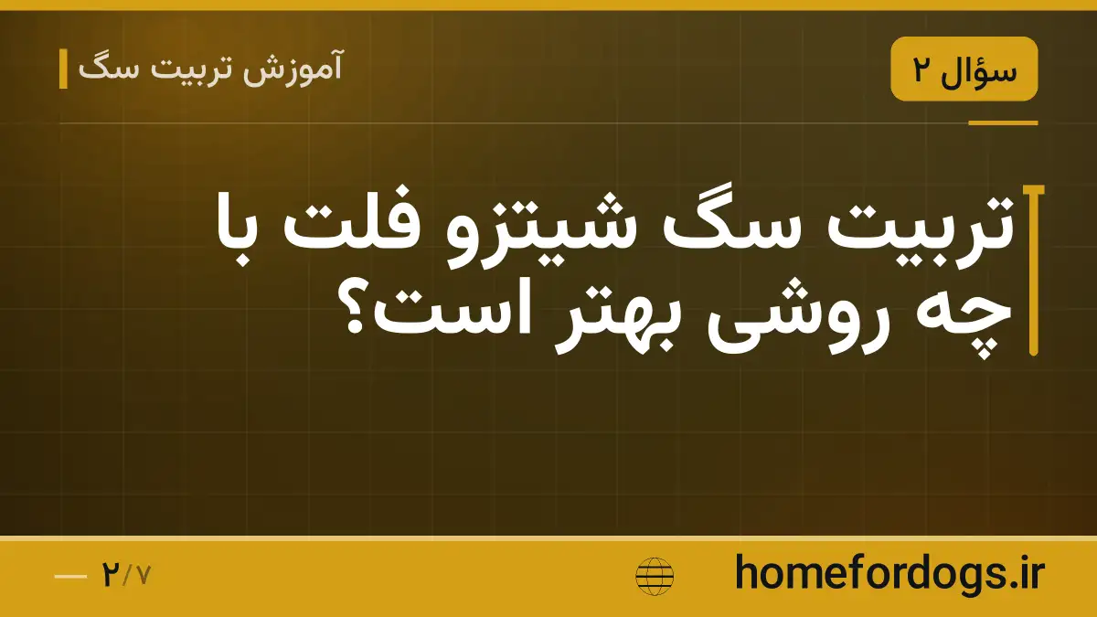 تربیت سگ شیتزو فلت با چه روشی بهتر است؟