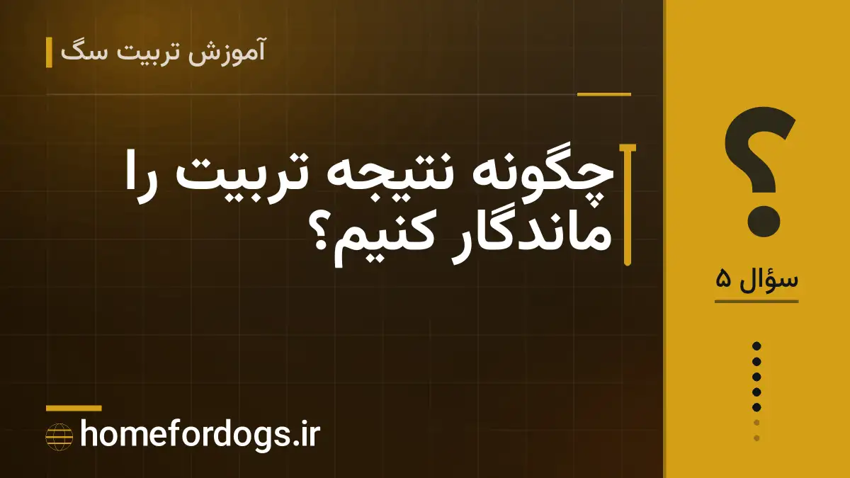 چگونه نتیجه تربیت را ماندگار کنیم؟