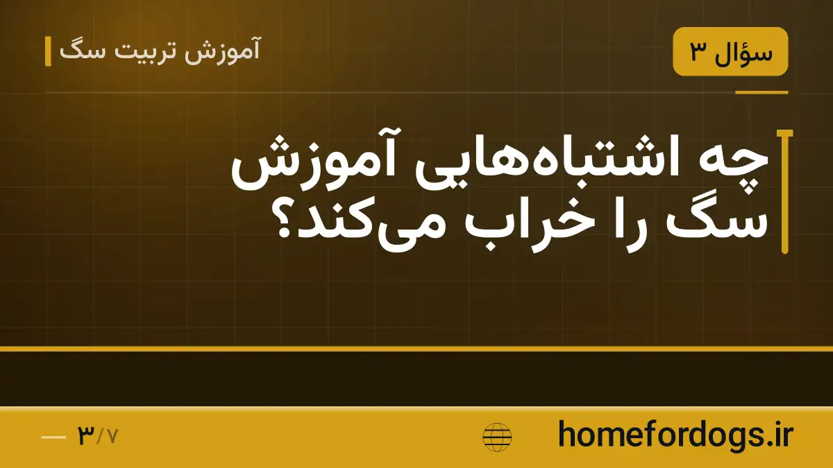 چه اشتباههایی آموزش سگ را خراب میکند؟