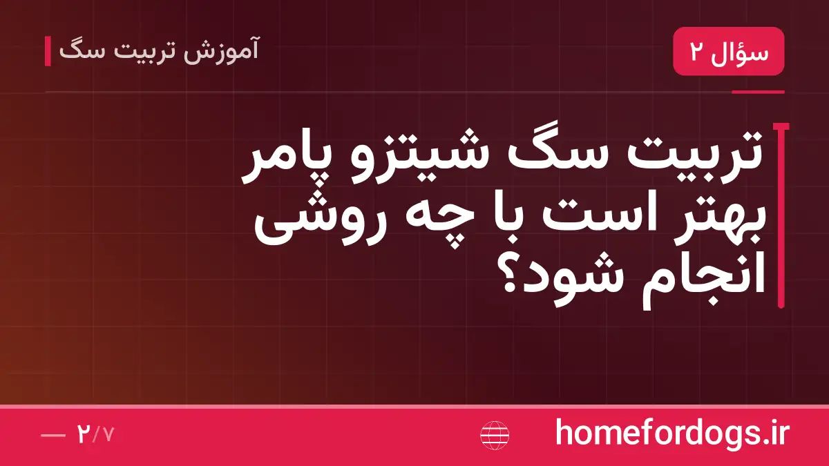 تربیت سگ شیتزو پامر بهتر است با چه روشی انجام شود؟