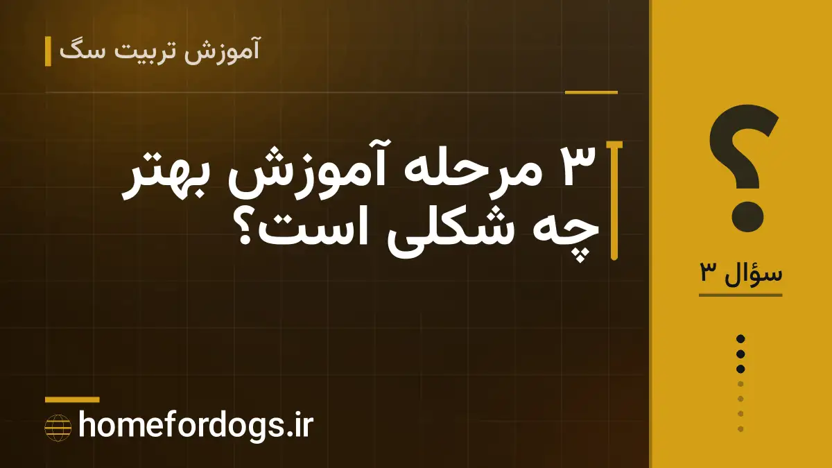 ۳ مرحله آموزش بهتر چه شکلی است؟