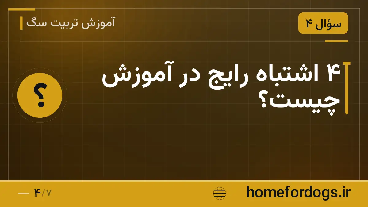 ۴ اشتباه رایج در آموزش چیست؟