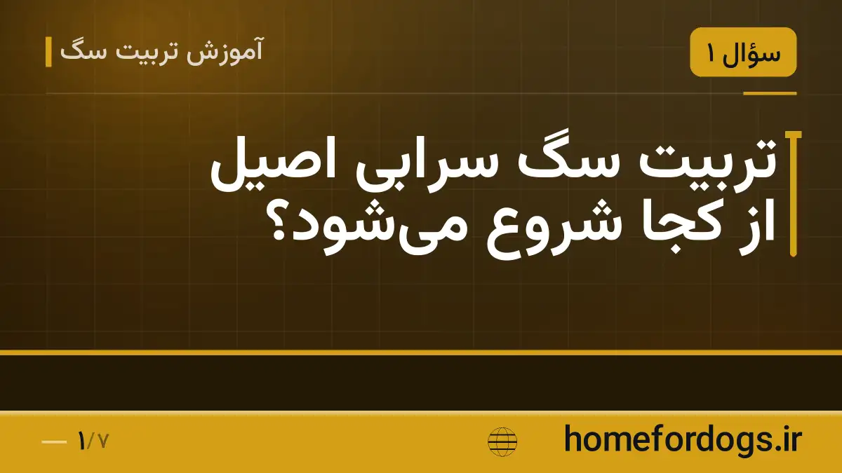 تربیت سگ سرابی اصیل از کجا شروع میشود؟