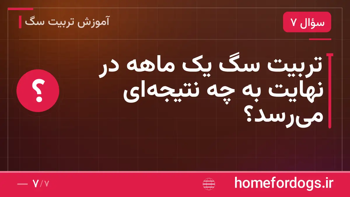تربیت سگ یک ماهه در نهایت به چه نتیجه‌ای می‌رسد؟