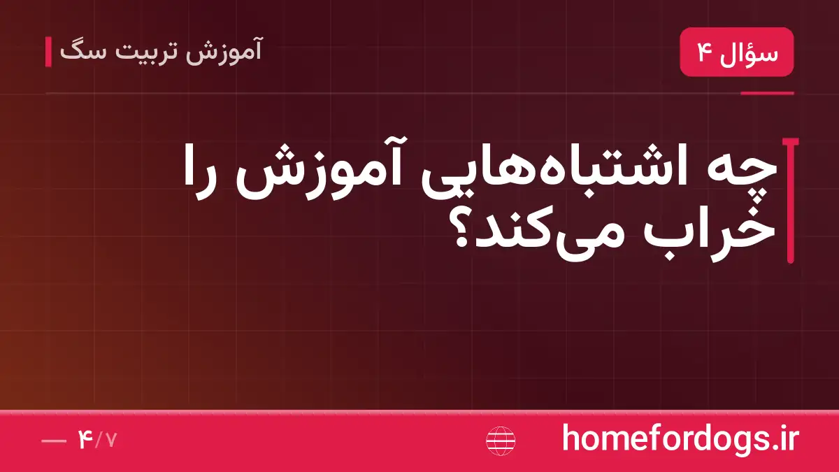 چه اشتباههایی آموزش را خراب میکند؟