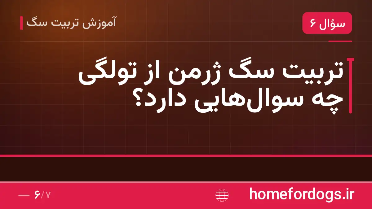 تربیت سگ ژرمن از تولگی چه سوالهایی دارد؟