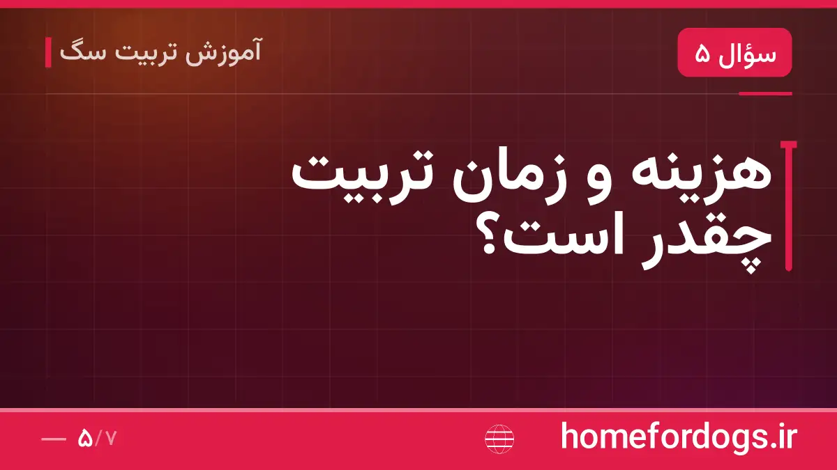 هزینه و زمان تربیت چقدر است؟