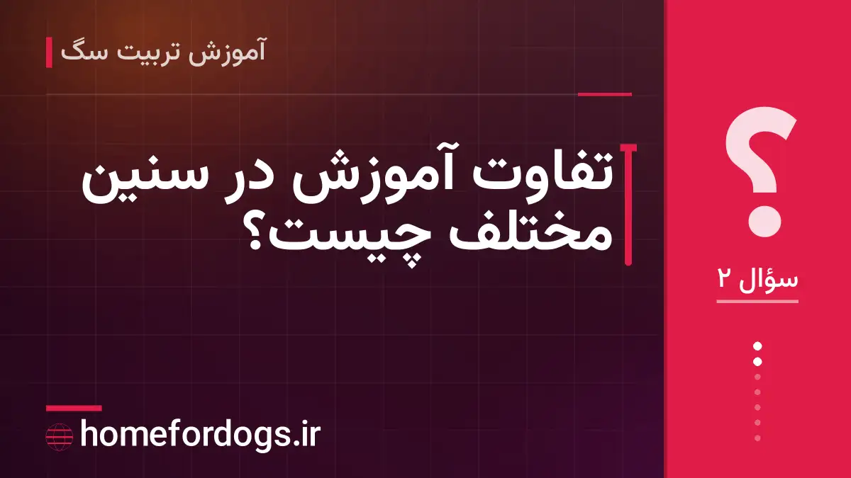 تفاوت آموزش در سنین مختلف چیست؟