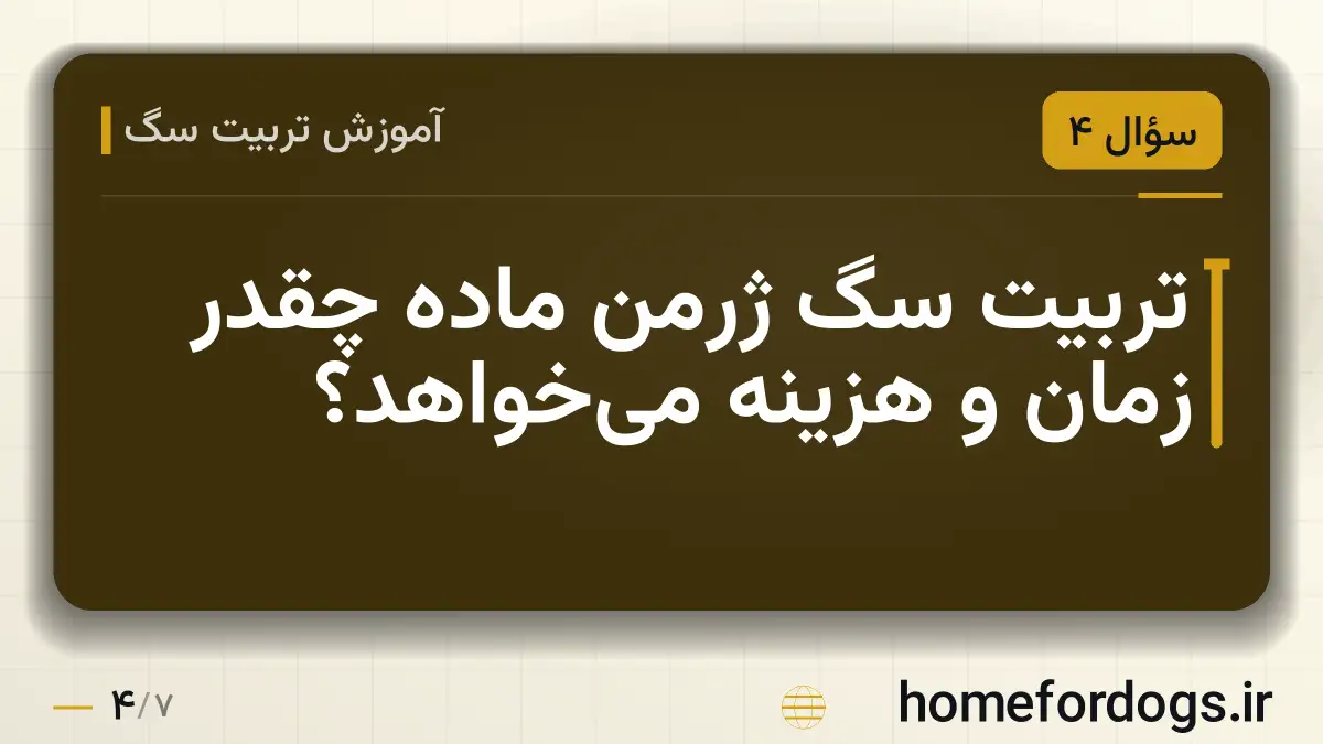 تربیت سگ ژرمن ماده چقدر زمان و هزینه می‌خواهد؟