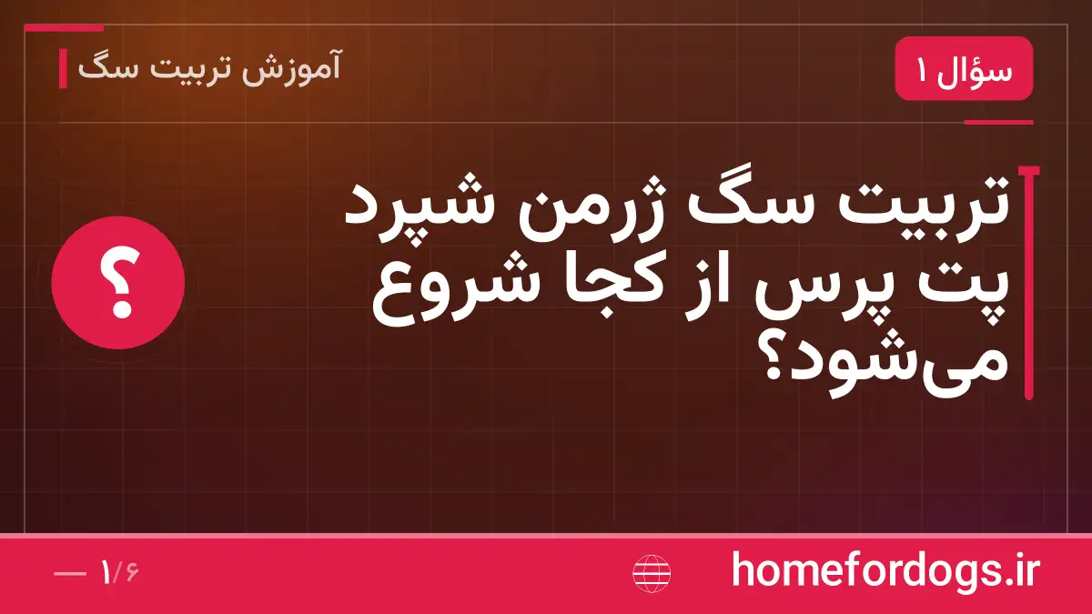 تربیت سگ ژرمن شپرد پت پرس از کجا شروع میشود؟