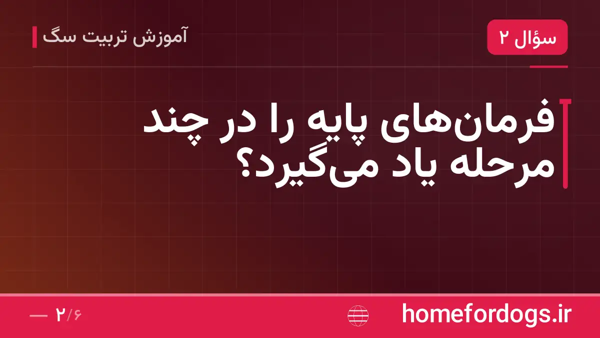 فرمانهای پایه را در چند مرحله یاد میگیرد؟