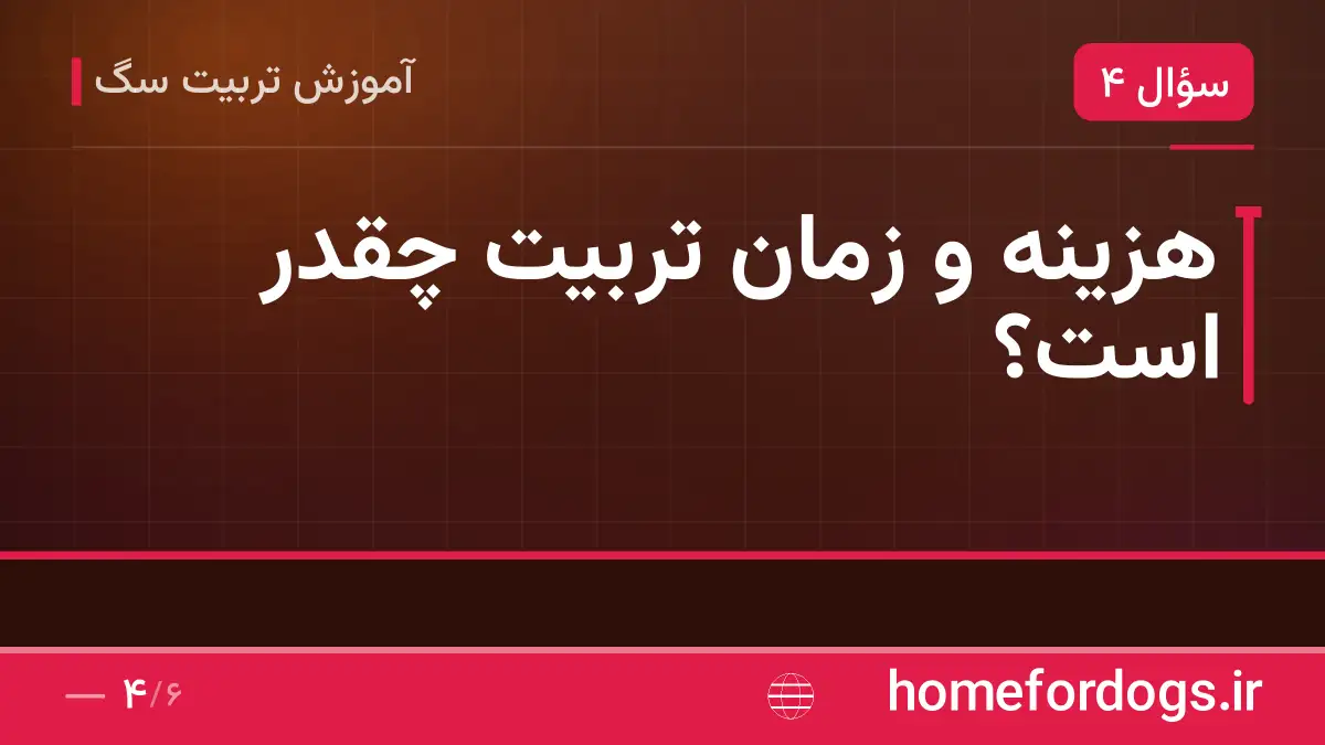 هزینه و زمان تربیت چقدر است؟
