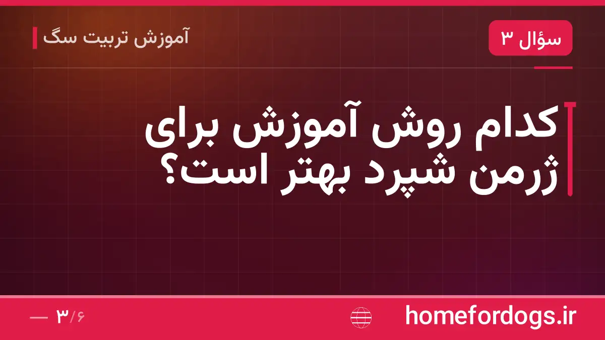 کدام روش آموزش برای ژرمن شپرد بهتر است؟