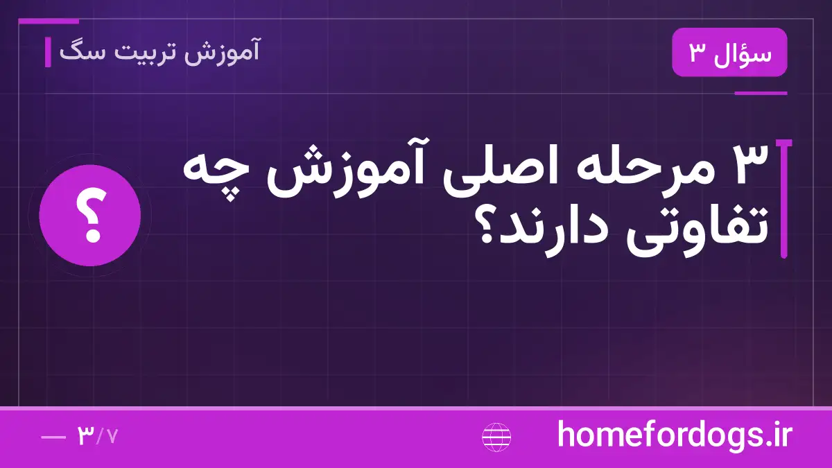 ۳ مرحله اصلی آموزش چه تفاوتی دارند؟