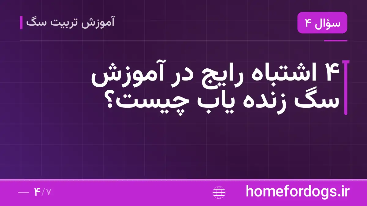 ۴ اشتباه رایج در آموزش سگ زنده یاب چیست؟