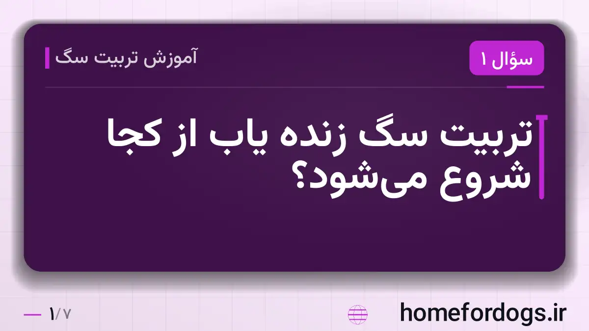 تربیت سگ زنده یاب از کجا شروع می‌شود؟