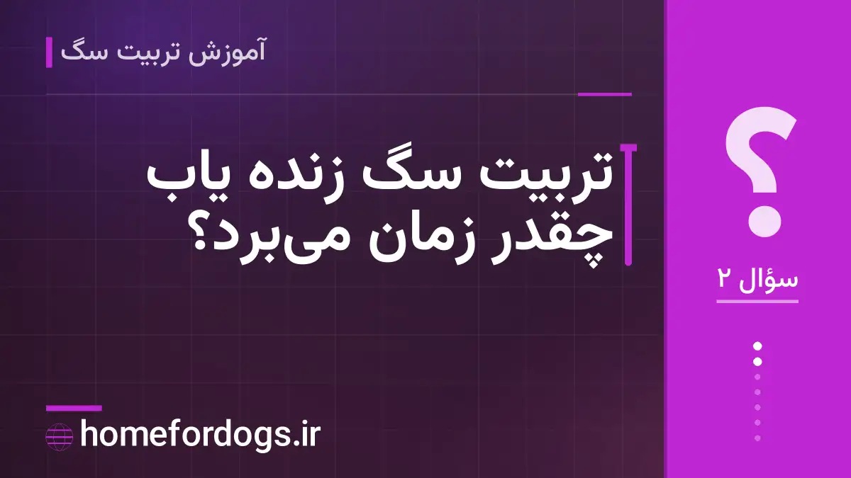 تربیت سگ زنده یاب چقدر زمان می‌برد؟