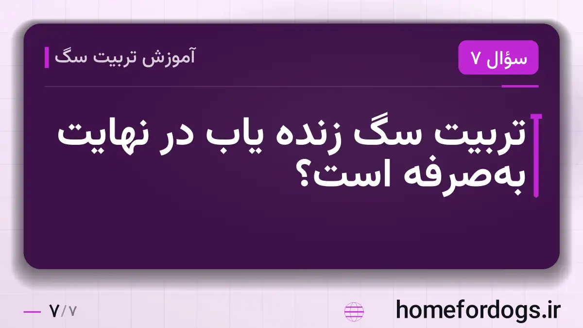 تربیت سگ زنده یاب در نهایت به‌صرفه است؟