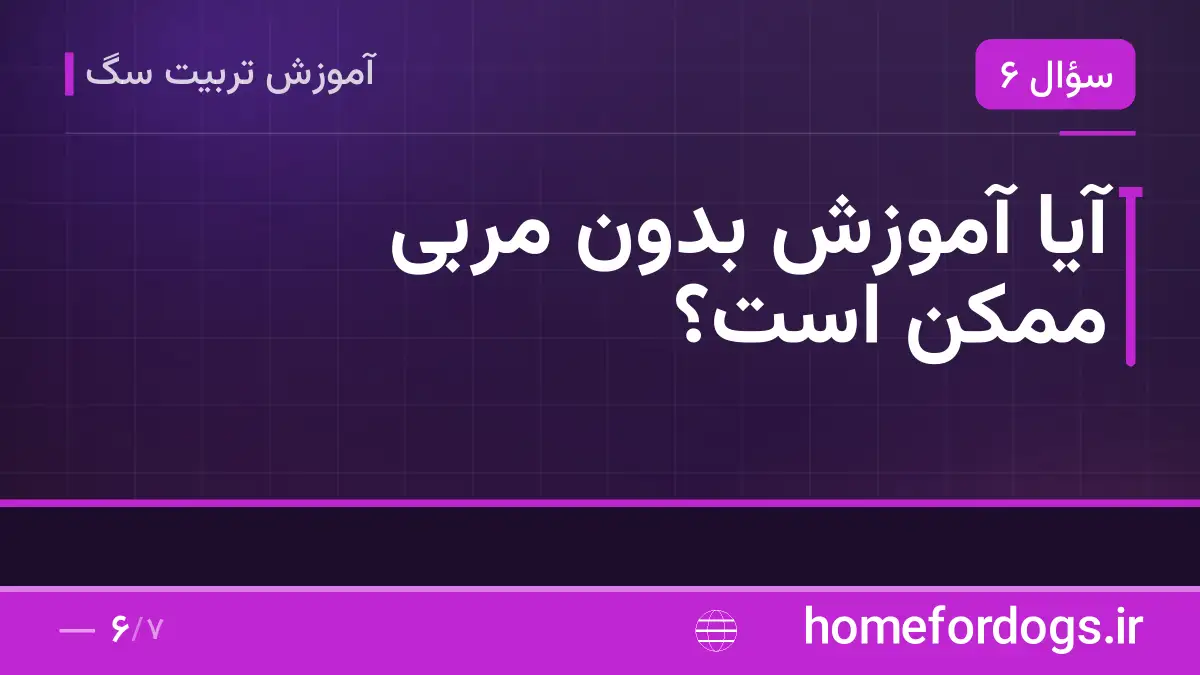 آیا آموزش بدون مربی ممکن است؟