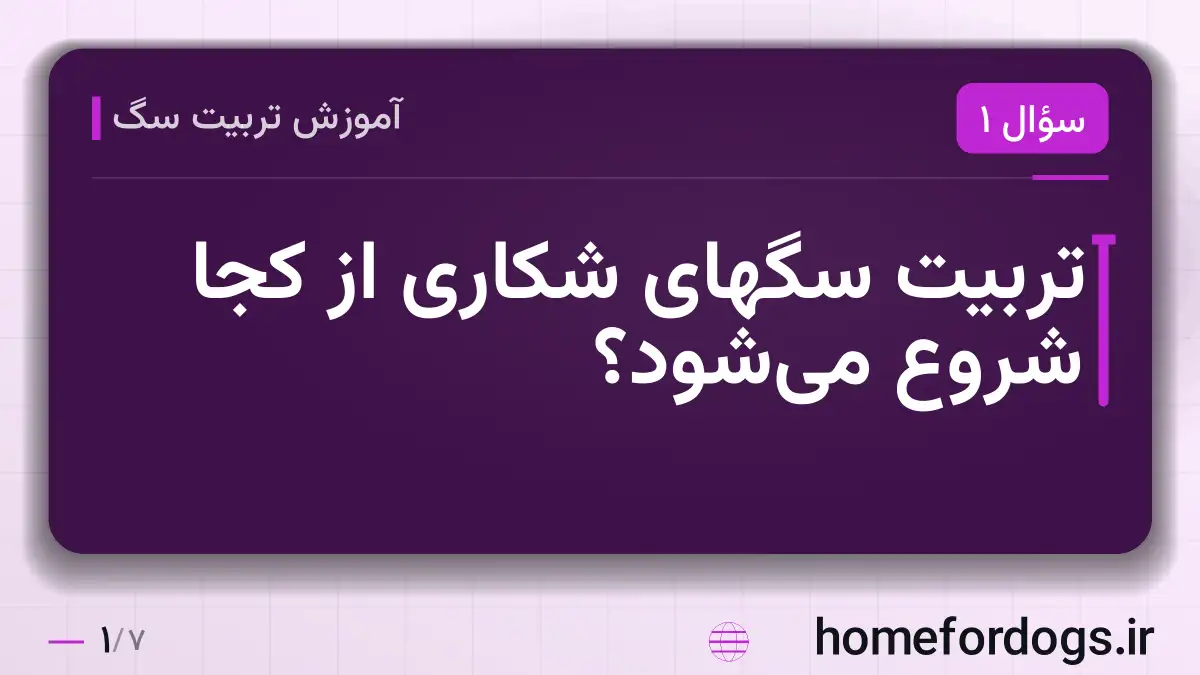 تربیت سگهای شکاری از کجا شروع می‌شود؟